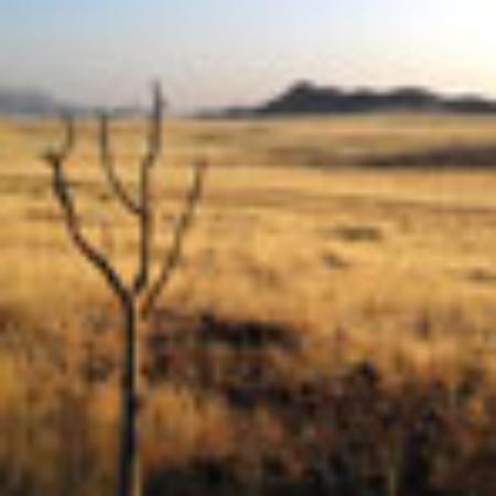 Casey's General Store